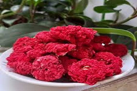 تصویر 1 از خرید و قیمت گیاه گلنار فارسی + فروش عمده
